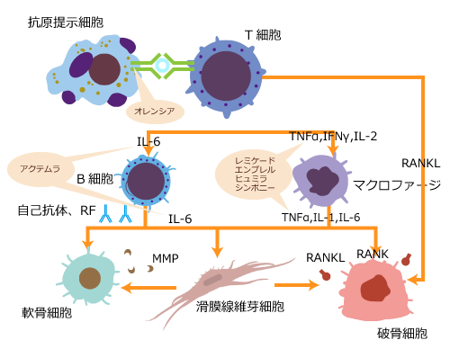 生物学的製剤の効果を表すイラスト