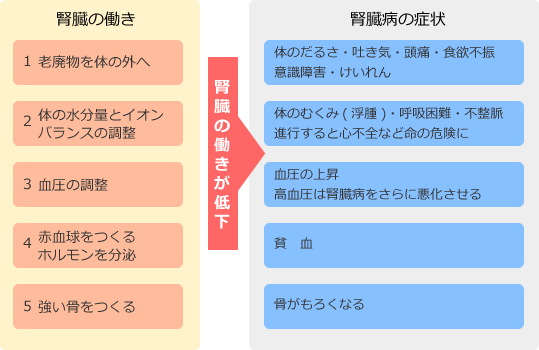 腎臓の働きと腎臓病の症状