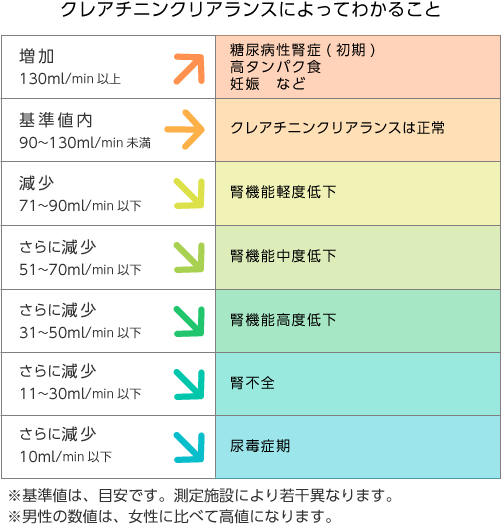 クレアチニンクリアランスによってわかること