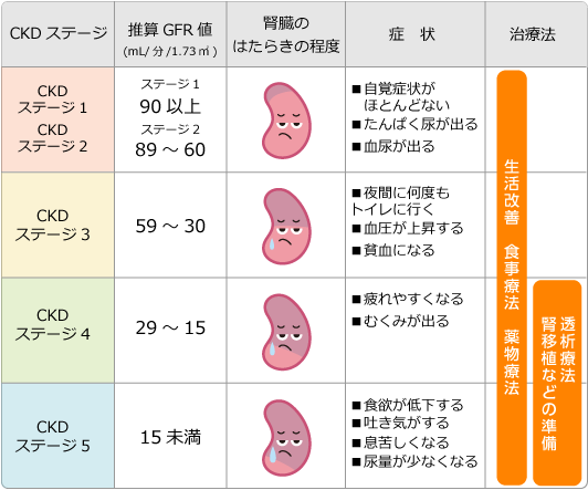 CKDステージ1～5の腎臓の働きと症状、治療法