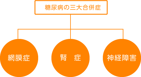 糖尿病の三大合併症
・網膜症・腎症・神経障害