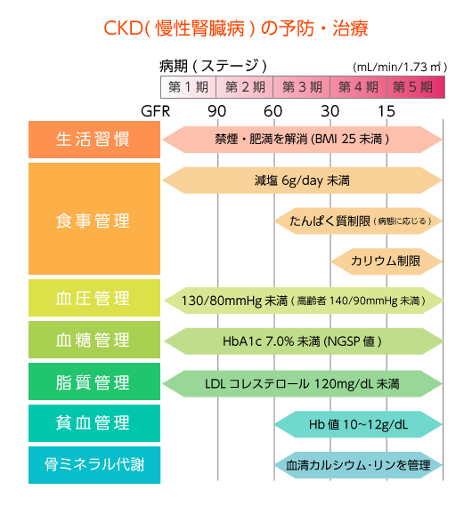 CKD(慢性腎臓病)の予防・治療