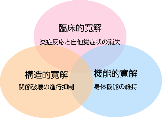 臨床的寛解
炎症反応と自他覚症状の消失
構造的寛解
関節破壊の進行抑制
機能的寛解
身体機能の維持