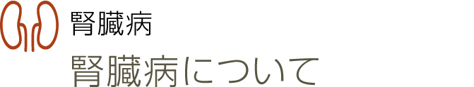 腎臓病
腎臓病について