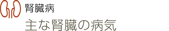 腎臓病
主な腎臓の病気