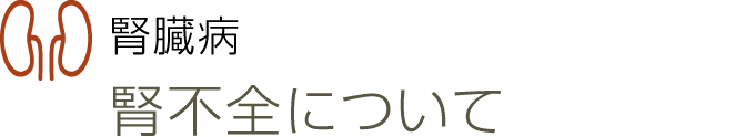 腎臓病
腎不全について